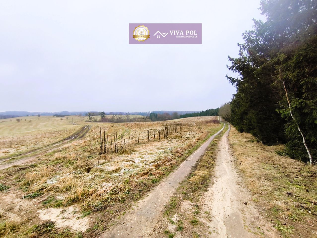 Działka rekreacyjna Kiersztanowo. Zdjęcie 5