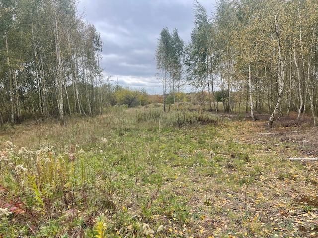 Działka budowlana Barcice Drwalewskie. Zdjęcie 8