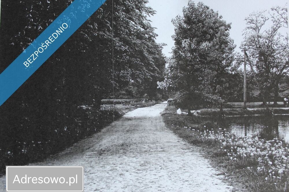 dworek, 5 pokoi Wewierz. Zdjęcie 14