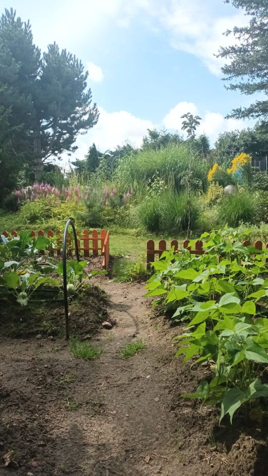 Działka rod Poznań Głuszyna, ul. Przy Lotnisku. Zdjęcie 6