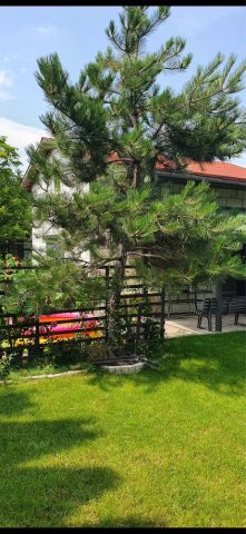 Działka rod Jaworowa. Zdjęcie 1