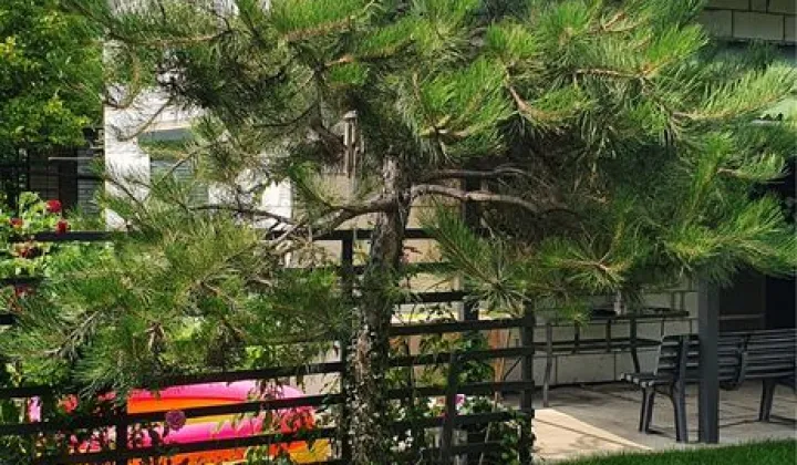 Działka rod Jaworowa