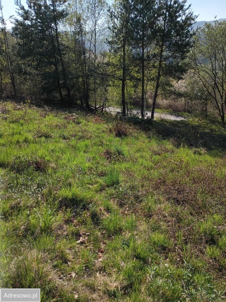 Działka budowlana Gródek nad Dunajcem Koszarka. Zdjęcie 7