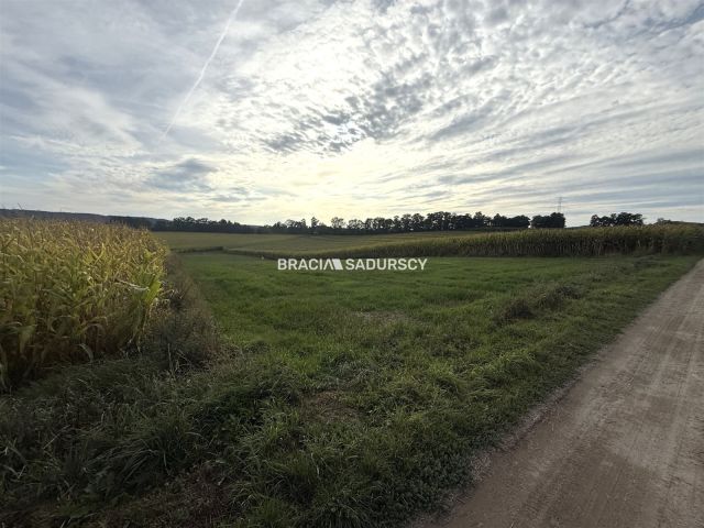 Działka budowlana Karniowice, ul. Kwiatowa. Zdjęcie 1