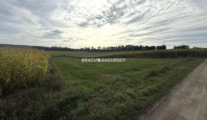 Działka budowlana Karniowice, ul. Kwiatowa