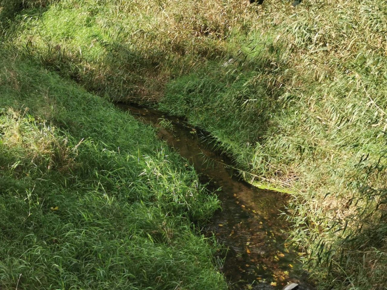 Działka inna Złotów, ul. ks. dr. Bolesława Domańskiego. Zdjęcie 20