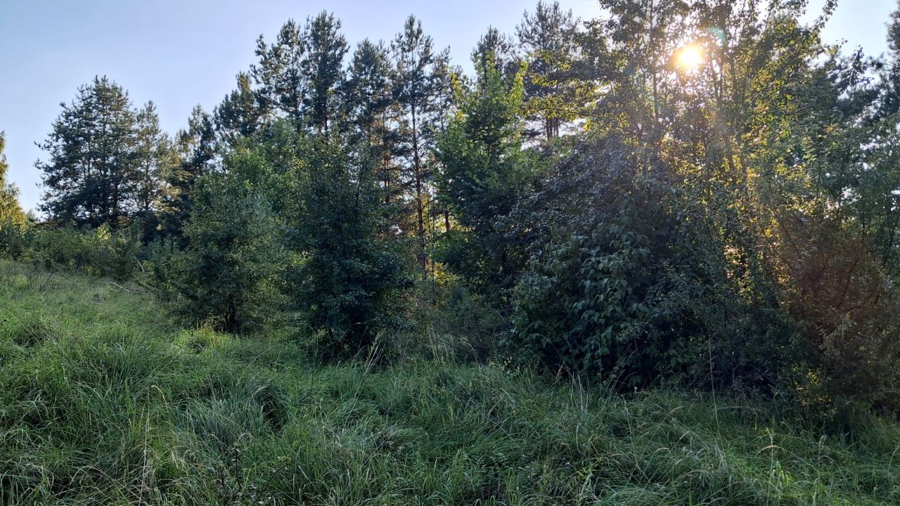 Działka rekreacyjna Kręsk, ul. Zofii. Zdjęcie 3