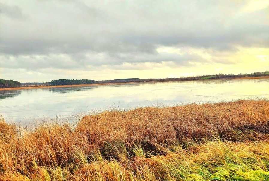 Działka rekreacyjna Załęże. Zdjęcie 4