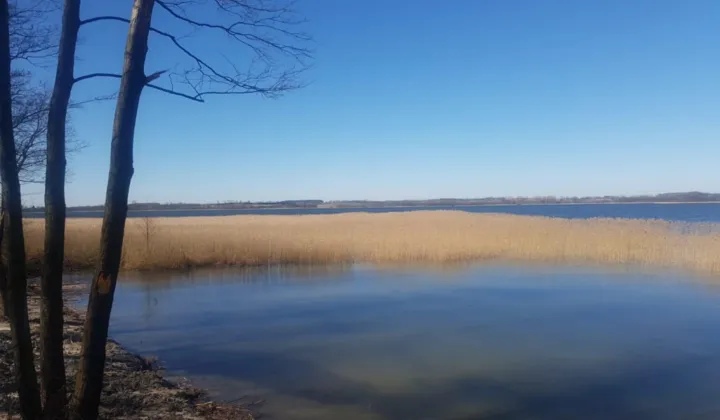 Działka rolno-budowlana Kikity