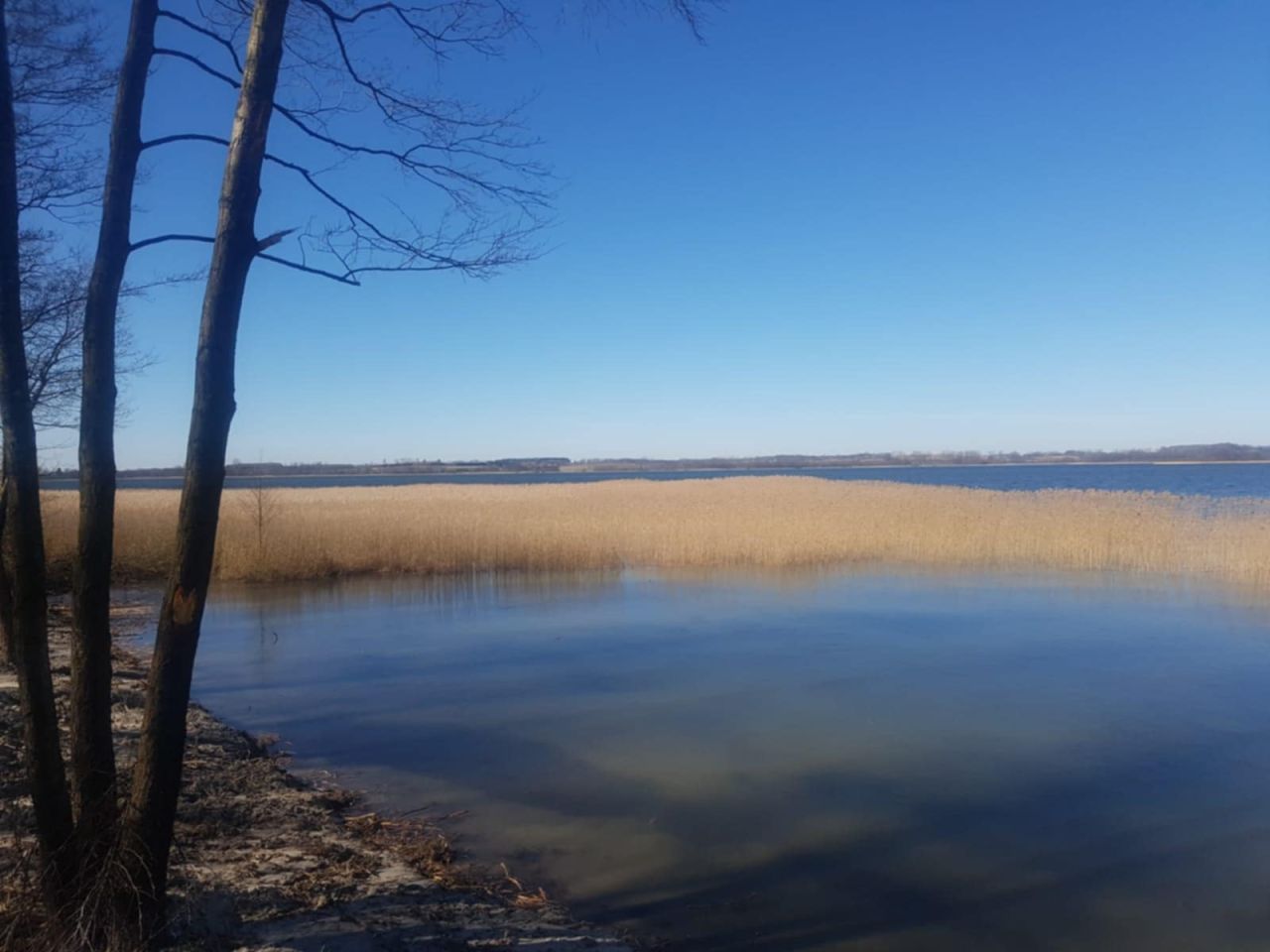Działka rolno-budowlana Kikity