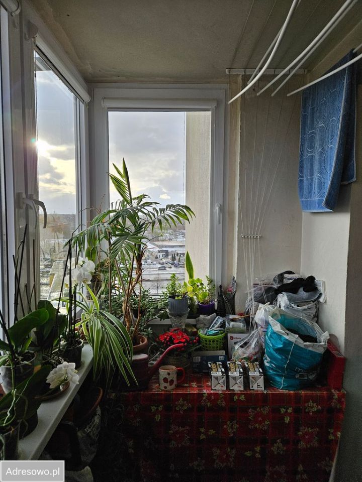 Mieszkanie 2-pokojowe Gdańsk Śródmieście, ul. Głęboka. Zdjęcie 5