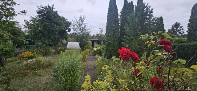 Działka rod Tczew Centrum. Zdjęcie 1