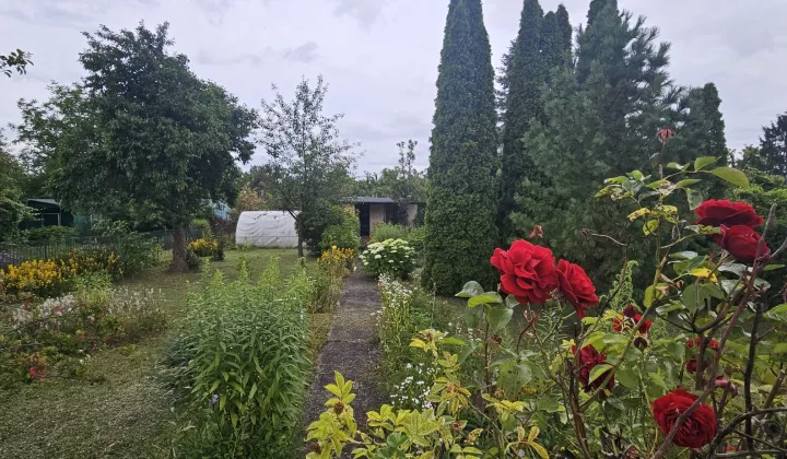 Działka rod Tczew Centrum