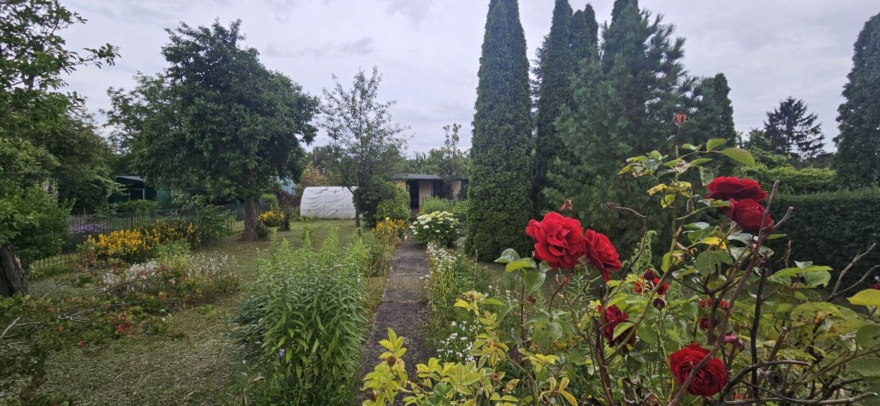 Działka rod Tczew Centrum. Zdjęcie 1