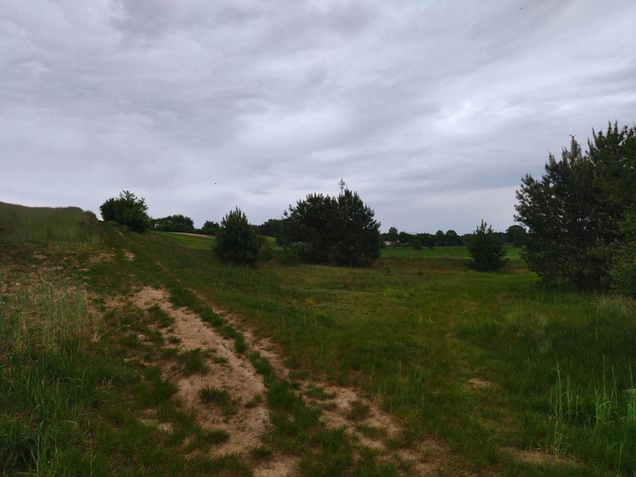 Działka budowlana Świerczyna. Zdjęcie 2