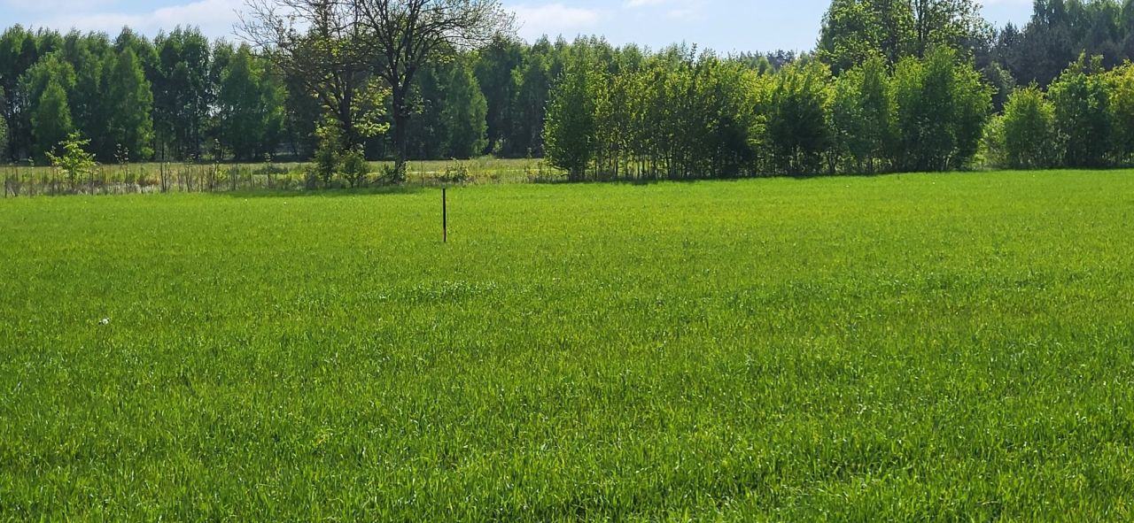 Działka budowlana Pomigacze. Zdjęcie 2