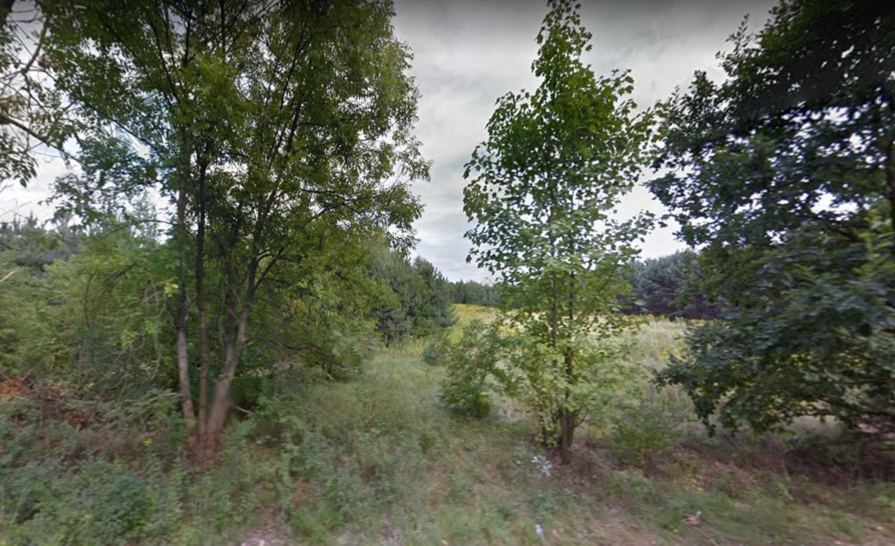 Działka rolna Wójcice. Zdjęcie 2