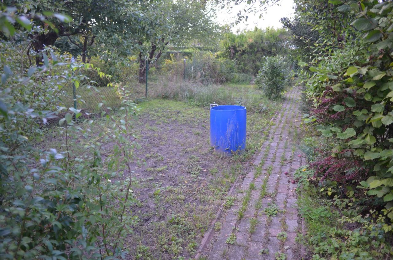 Działka rod Sulechów. Zdjęcie 4