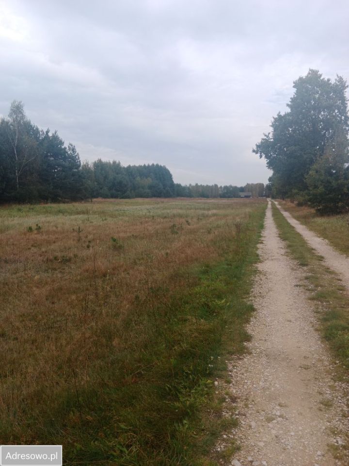 Działka rolno-budowlana Zabrodzie. Zdjęcie 3