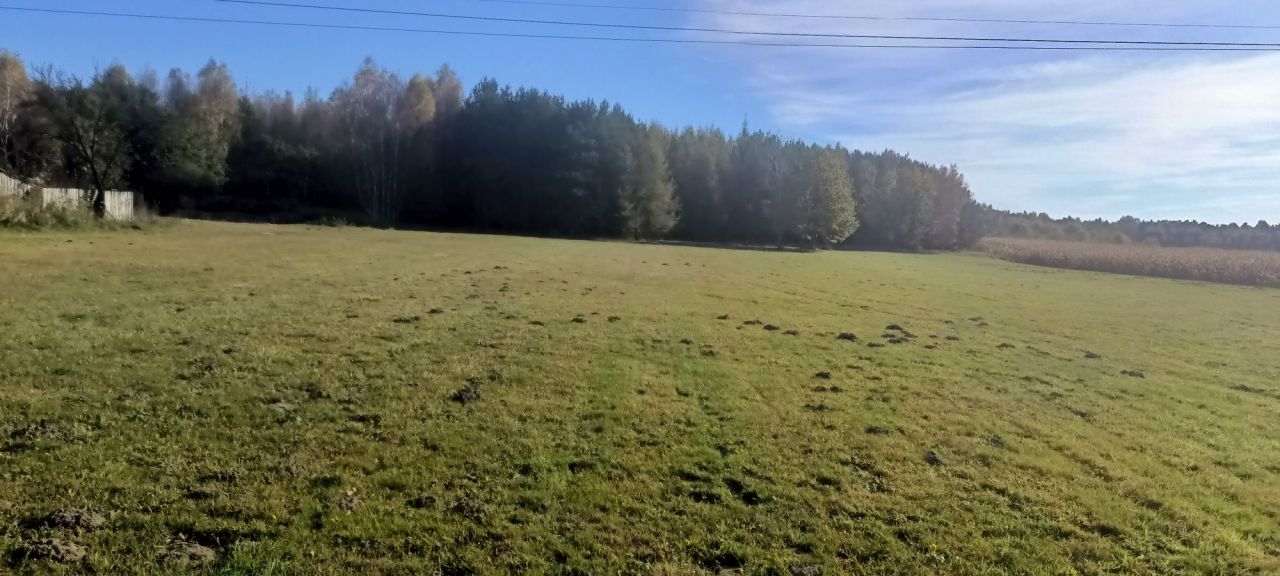 Działka budowlana Jaźwiny. Zdjęcie 3