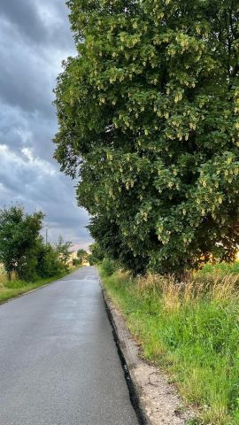 Działka budowlana Polanówka. Zdjęcie 1