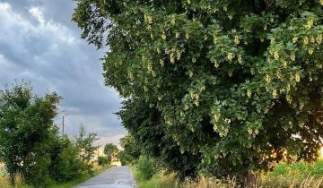 Działka budowlana Polanówka