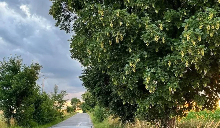 Działka budowlana Polanówka