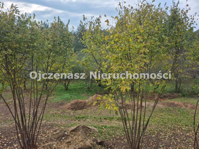 dom wolnostojący, 5 pokoi Kruszyn. Zdjęcie 37