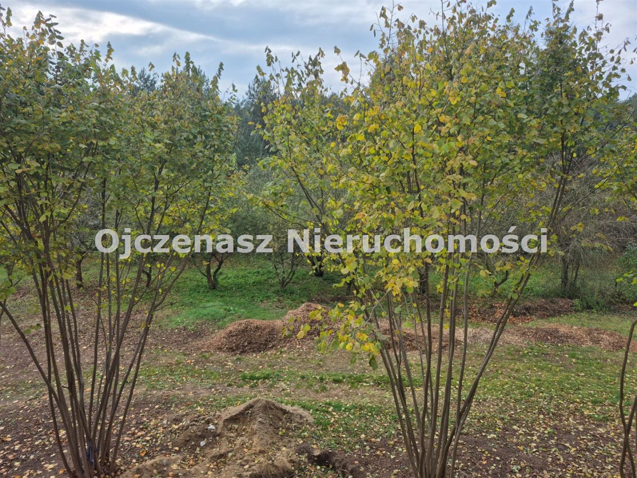 dom wolnostojący, 5 pokoi Kruszyn. Zdjęcie 37