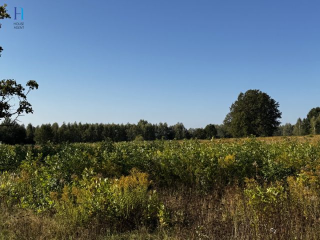 Działka inwestycyjna Stary Imielnik. Zdjęcie 13