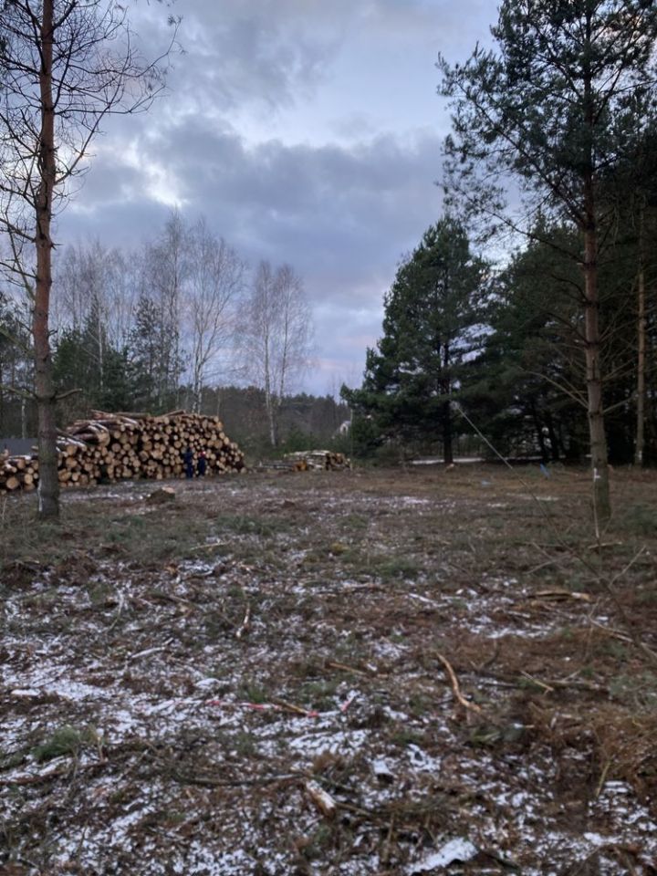 Działka rolno-budowlana Ruda-Pniewnik. Zdjęcie 8