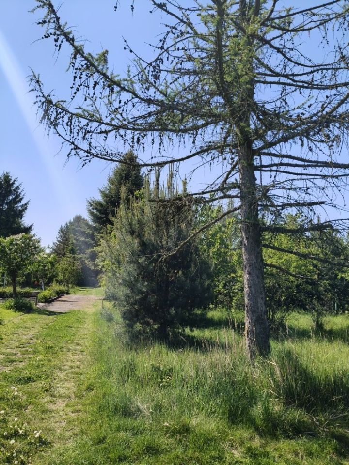 Działka rod Wrocław Krzyki. Zdjęcie 4