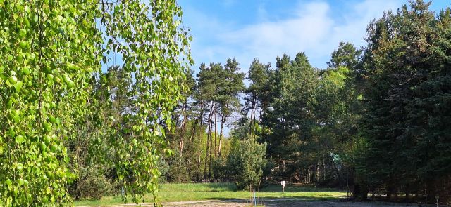 Działka budowlana Andrzejów. Zdjęcie 1