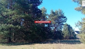 Działka leśna Morawica