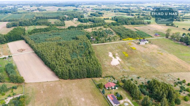 Działka budowlana Rojków. Zdjęcie 5