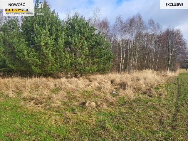 Działka rekreacyjna Chłopowo. Zdjęcie 2