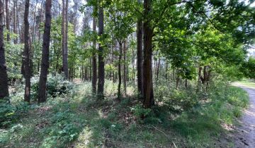 Działka rolno-budowlana Sierzchów, ul. Słoneczna