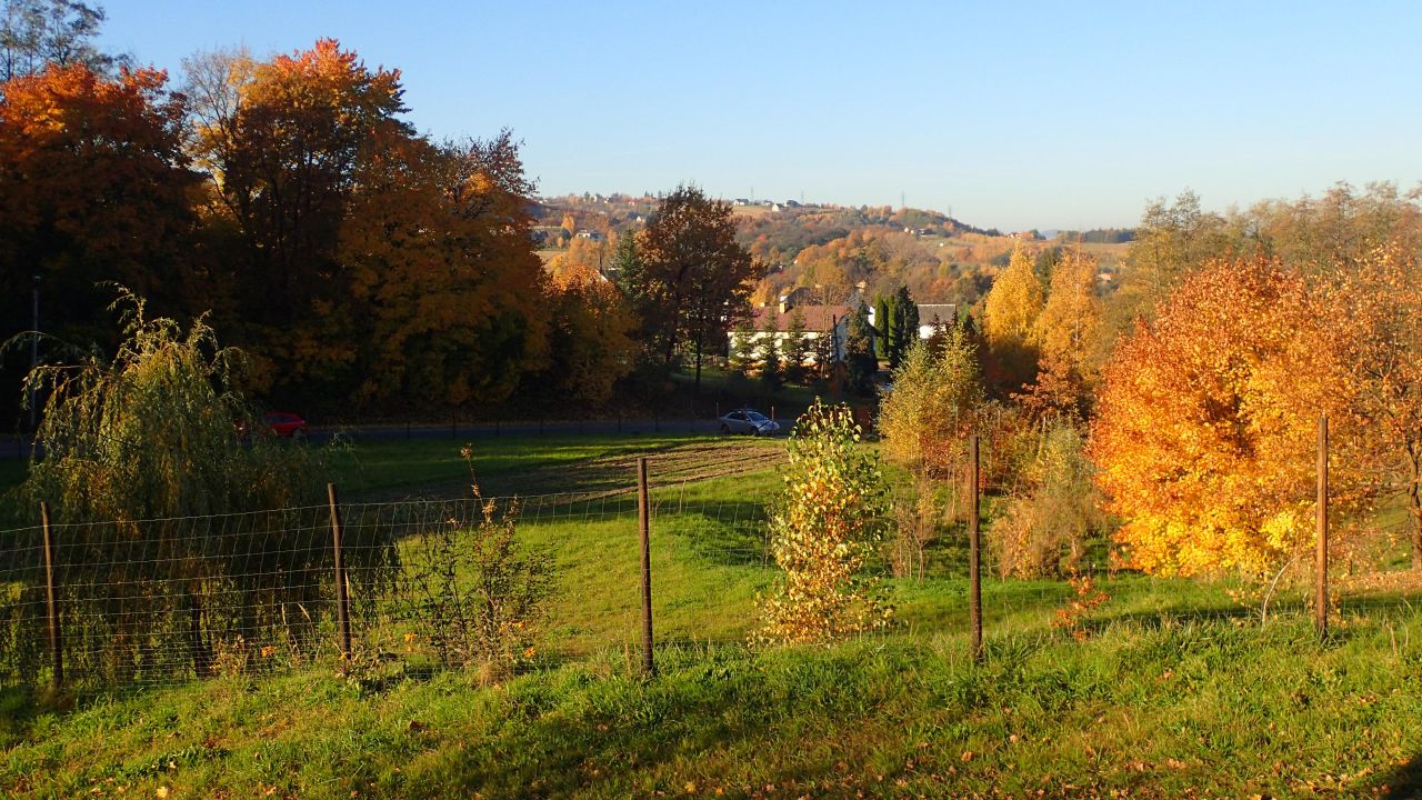 Działka rolna Szczepanowice. Zdjęcie 5
