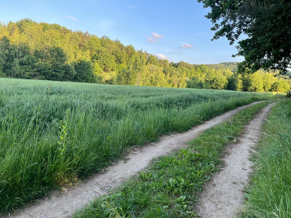 Działka budowlana Siołkowa Zagórze. Zdjęcie 2
