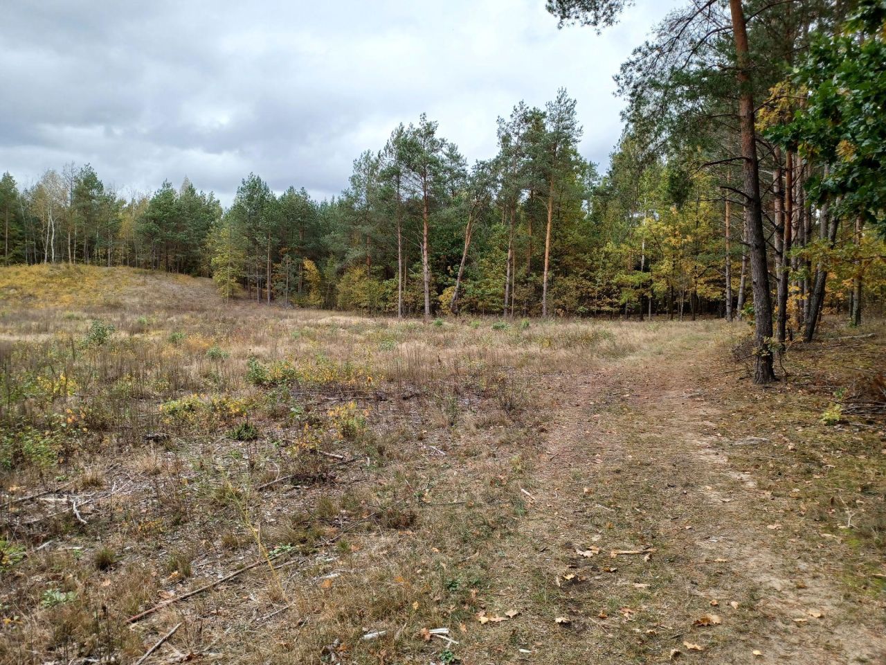 Działka rolno-budowlana Sochonie, ul. Brzozowa. Zdjęcie 5