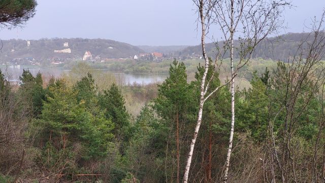 Działka rekreacyjna Janowiec, ul. Młynarska. Zdjęcie 1