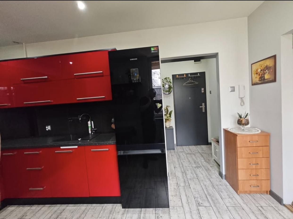 Mieszkanie 1-pokojowe Radlin Marcel, Irysowa. Zdjęcie 4