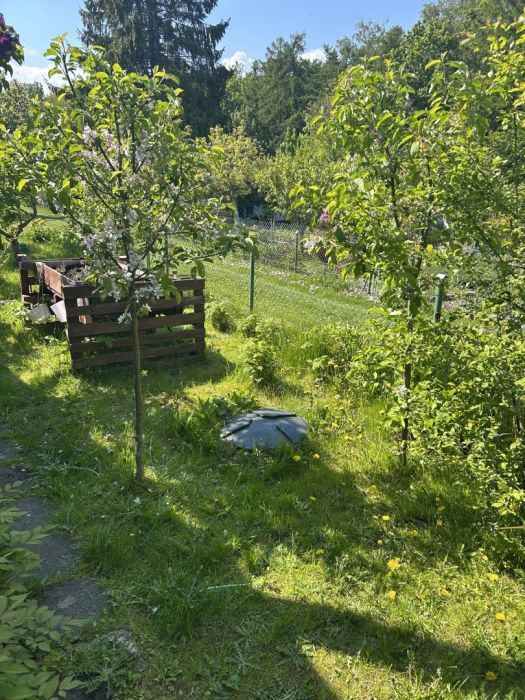 Działka rod Gdynia Mały Kack, ul. Grodnieńska. Zdjęcie 5