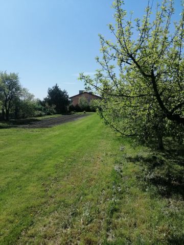 Działka budowlana Pisarzowice, ul. Ogrodowa. Zdjęcie 1