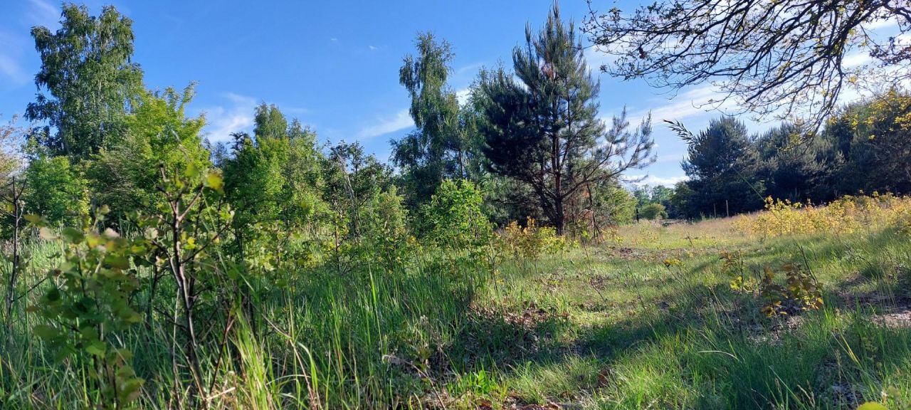 Działka rolno-budowlana Kołbiel. Zdjęcie 8