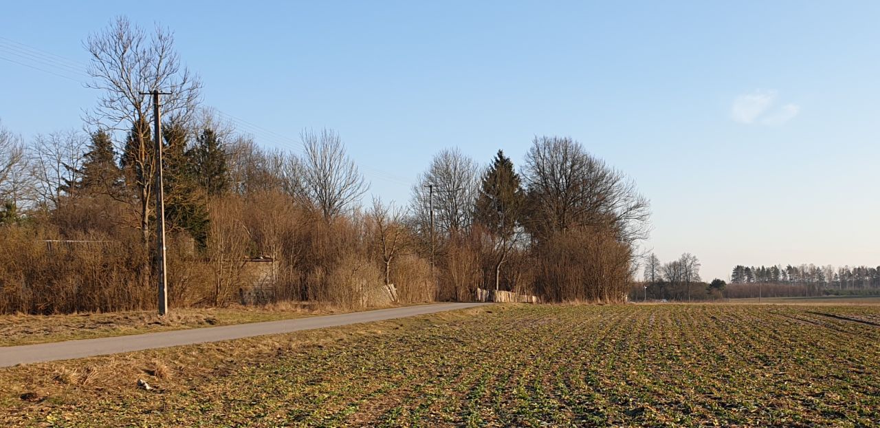 Działka budowlana Celiny