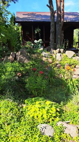 Działka rekreacyjna Białystok Bacieczki. Zdjęcie 1