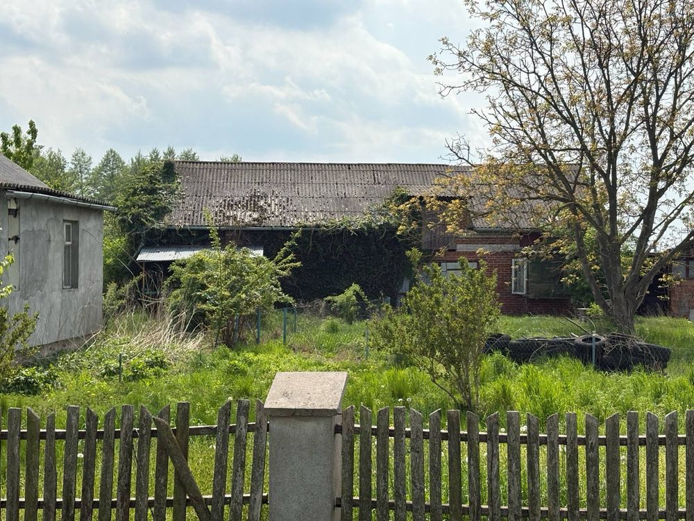 gospodarstwo Rząśno. Zdjęcie 5