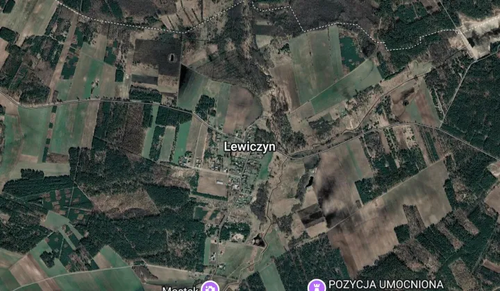 Działka leśna Lewiczyn