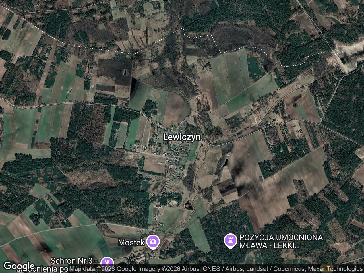 Działka leśna Lewiczyn. Zdjęcie 1